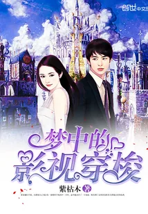 《梦中的影视穿梭》小说封面