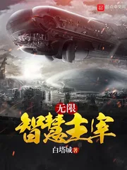 《无限智慧主宰》小说封面