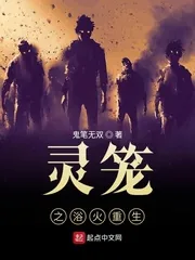 《灵笼之浴火重生》小说封面
