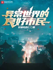 《异常世界的良好市民》小说封面