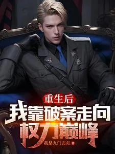 《重生后，我靠破案走向权力巅峰》小说封面