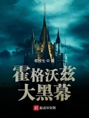 《霍格沃兹大黑幕》小说封面