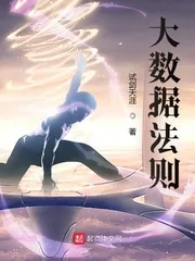 《大数据法则》小说封面