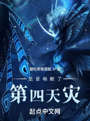 《是谁唤醒了第四天灾》小说封面