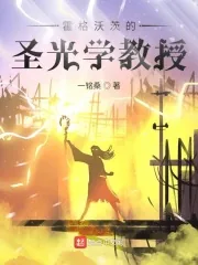 《霍格沃茨的圣光学教授》小说封面