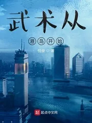 《武术从港岛开始》小说封面