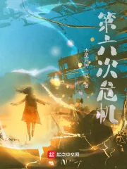 《第六次危机》小说封面