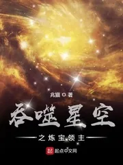 《吞噬星空之炼宝领主》小说封面