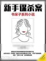 《新手谋杀案》小说封面