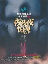《夜夜夜惊魂（第3季）》小说封面