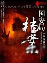 《国安局档案》小说封面