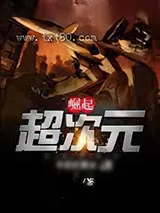 《超次元崛起》小说封面