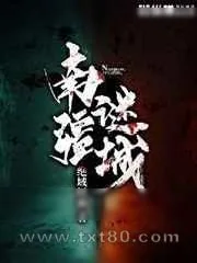 《南疆谜城》小说封面