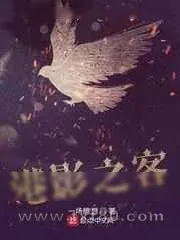 《港影之客》小说封面