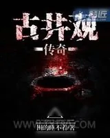 《古井观传奇》小说封面