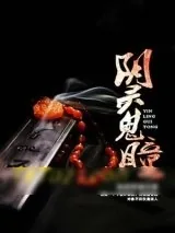 《阴灵鬼瞳》小说封面