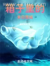 《箱子里的末日围城》小说封面