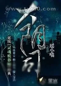 《大阴司》小说封面