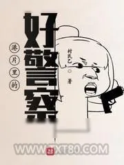 《港片里的好警察》小说封面