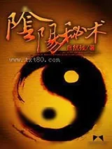 《阴阳秘术》小说封面