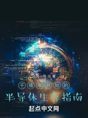《千禧年半导体生存指南》小说封面