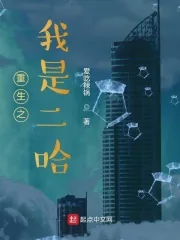《重生之我是二哈》小说封面