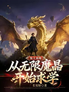 《领主巫师:从无限魔晶开始求学!》小说封面