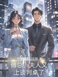 《傅总,夫人又上谈判桌了》小说封面