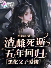 《渣雌死遁五年回归，黑化父子爱惨》小说封面