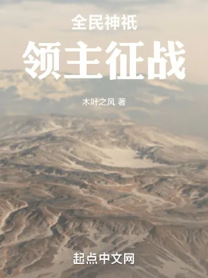 《全民神祇：领主征战》小说封面