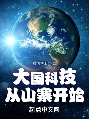 《大国科技从山寨开始》小说封面
