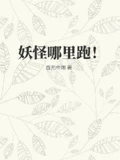 《妖怪哪里跑！》小说封面