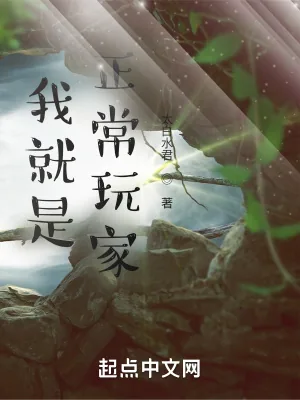 《我就是正常玩家！》小说封面
