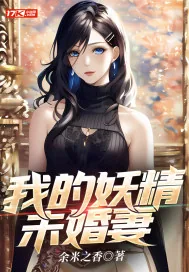《我的妖精未婚妻》小说封面