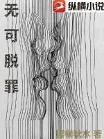 《无可脱罪》小说封面