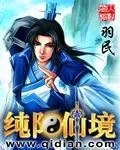 《纯阳仙境》小说封面