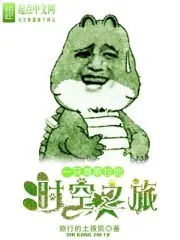 《一只哥斯拉的时空之旅》小说封面