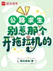 《公路求生:别惹那个开拖拉机的》小说封面